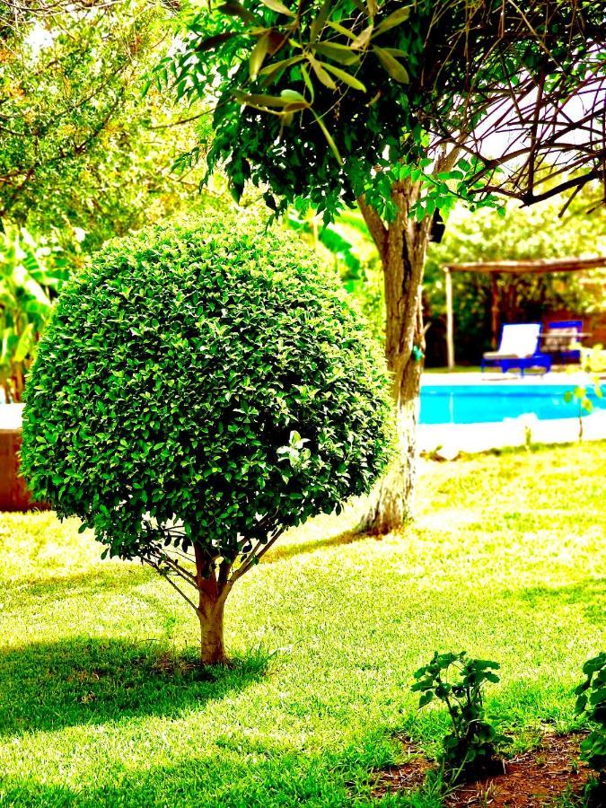 Le Domaine De Carole Marrakech Douar Akkara Exterior foto