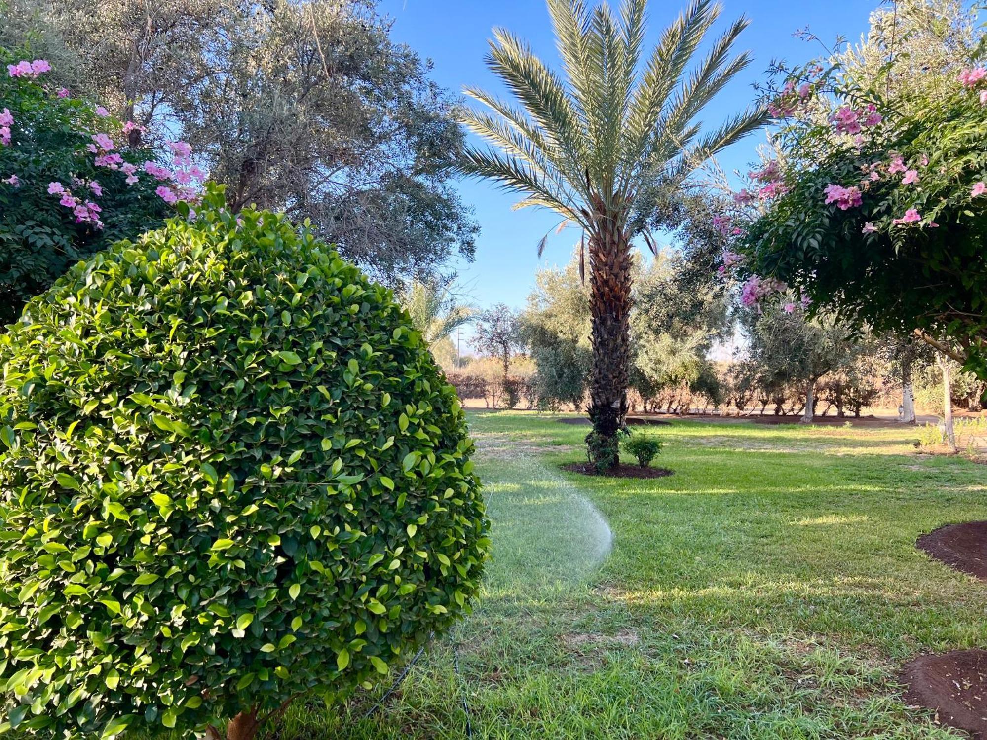 Le Domaine De Carole Marrakech Douar Akkara Exterior foto