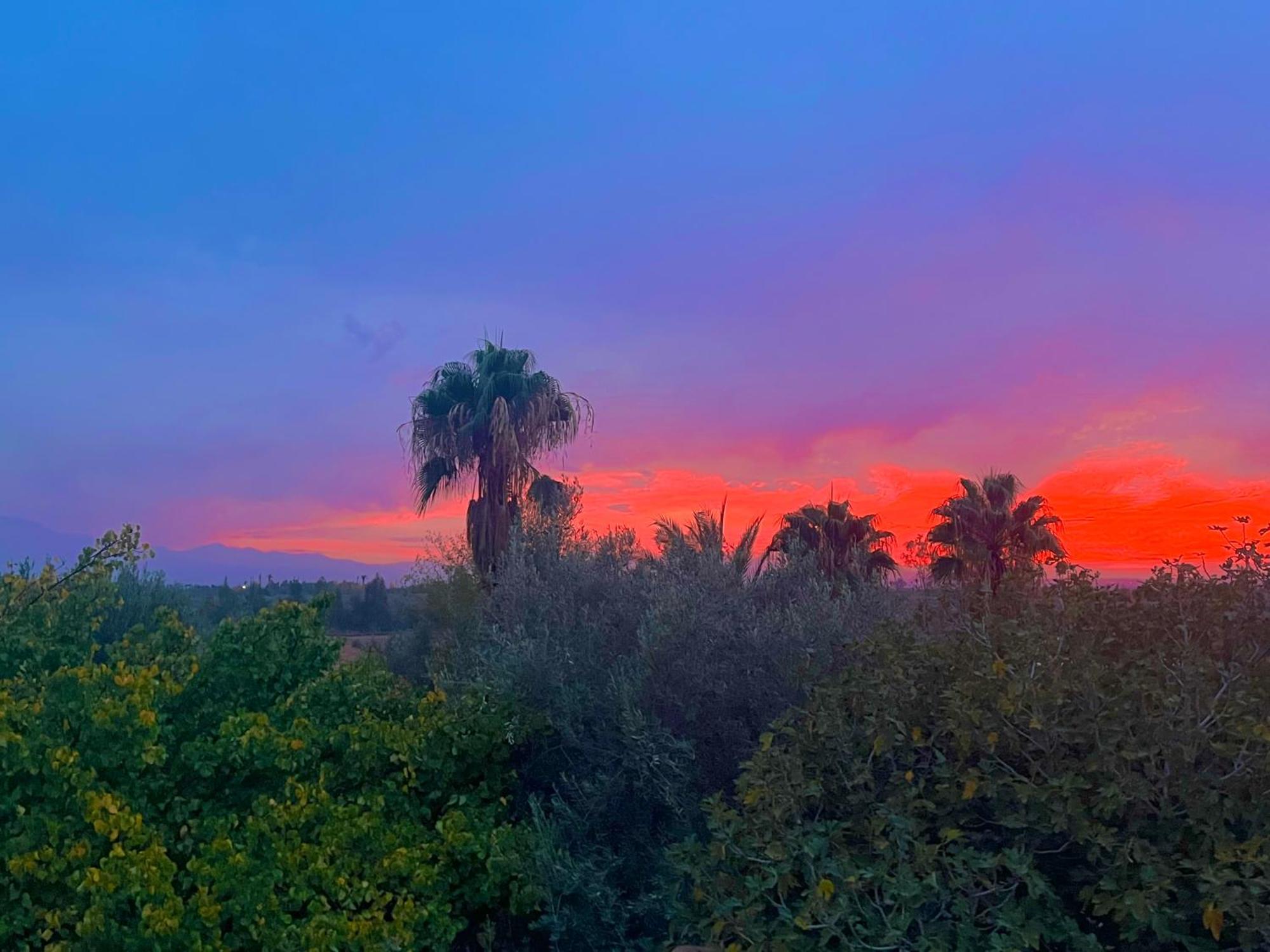 Le Domaine De Carole Marrakech Douar Akkara Exterior foto