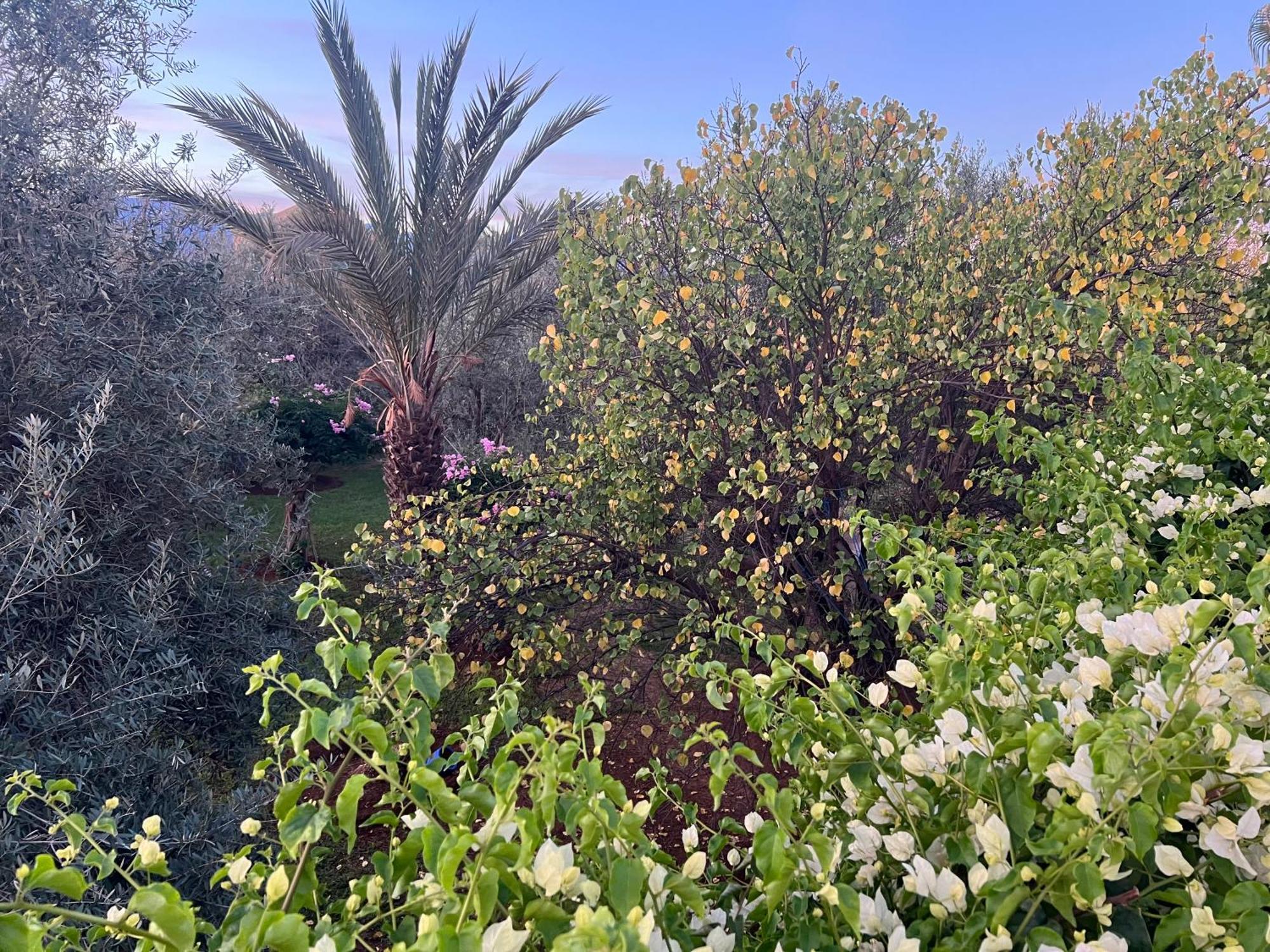 Le Domaine De Carole Marrakech Douar Akkara Exterior foto